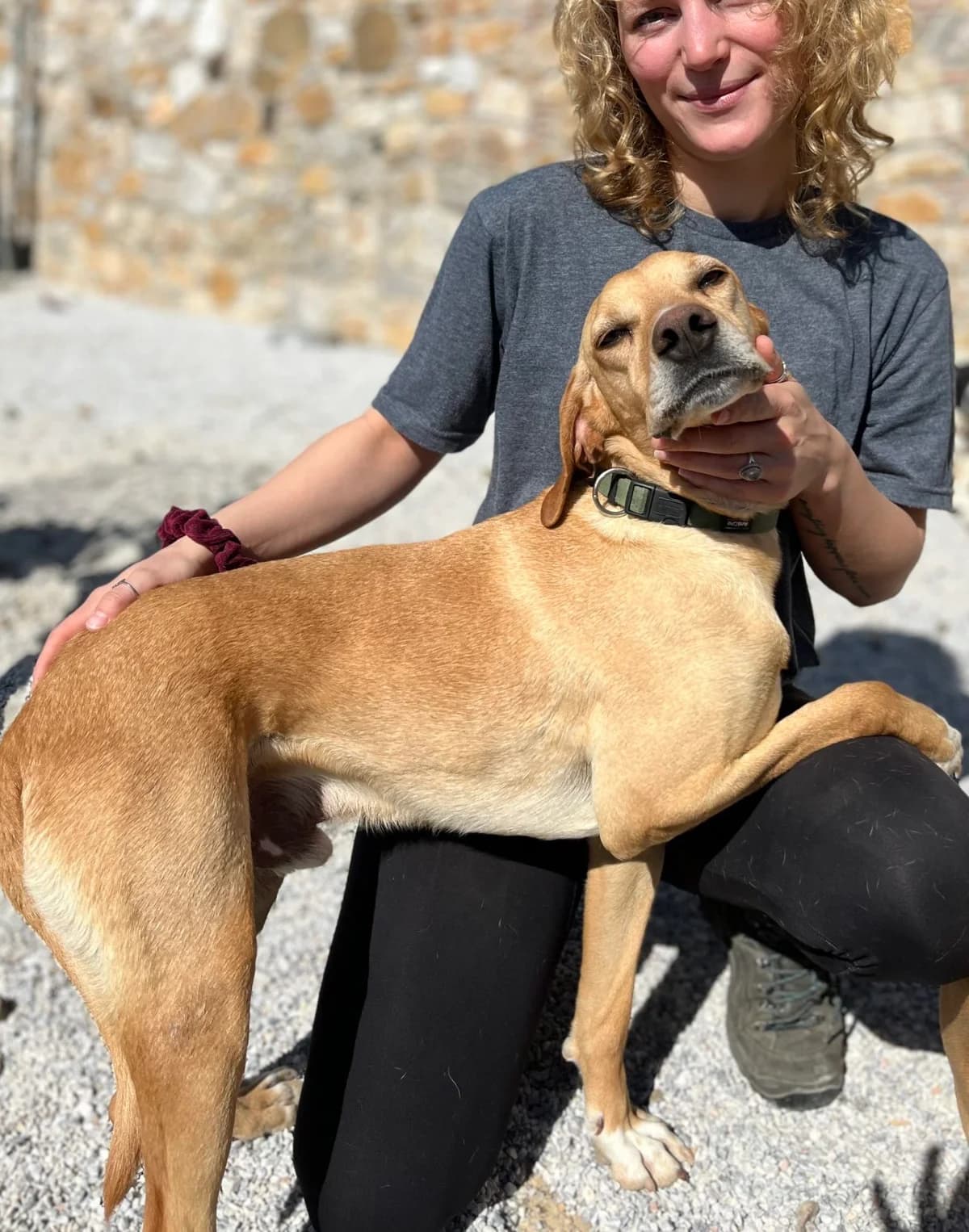 PRASO, male 7yo Mixed Breed for adoption at Tierisch Grenzenlos e.V., Bamberg
