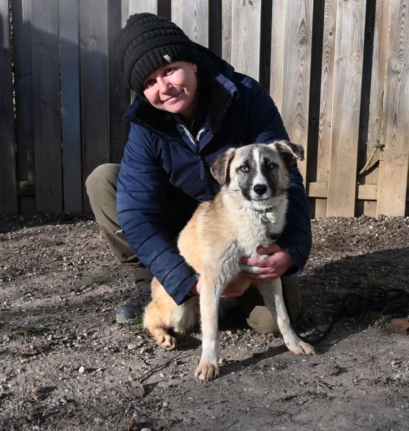 Madison, female Mixed Breed for adoption at Tierschutz Wörrstadt — photo 6 of 6