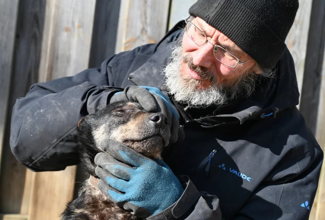 Koa, male Mixed Breed for adoption at Tierschutz Wörrstadt — photo 6 of 8