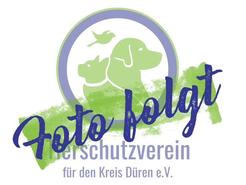 Tessa, female senior German Shepherd for adoption at Tierschutzverein Düren und Umgebung