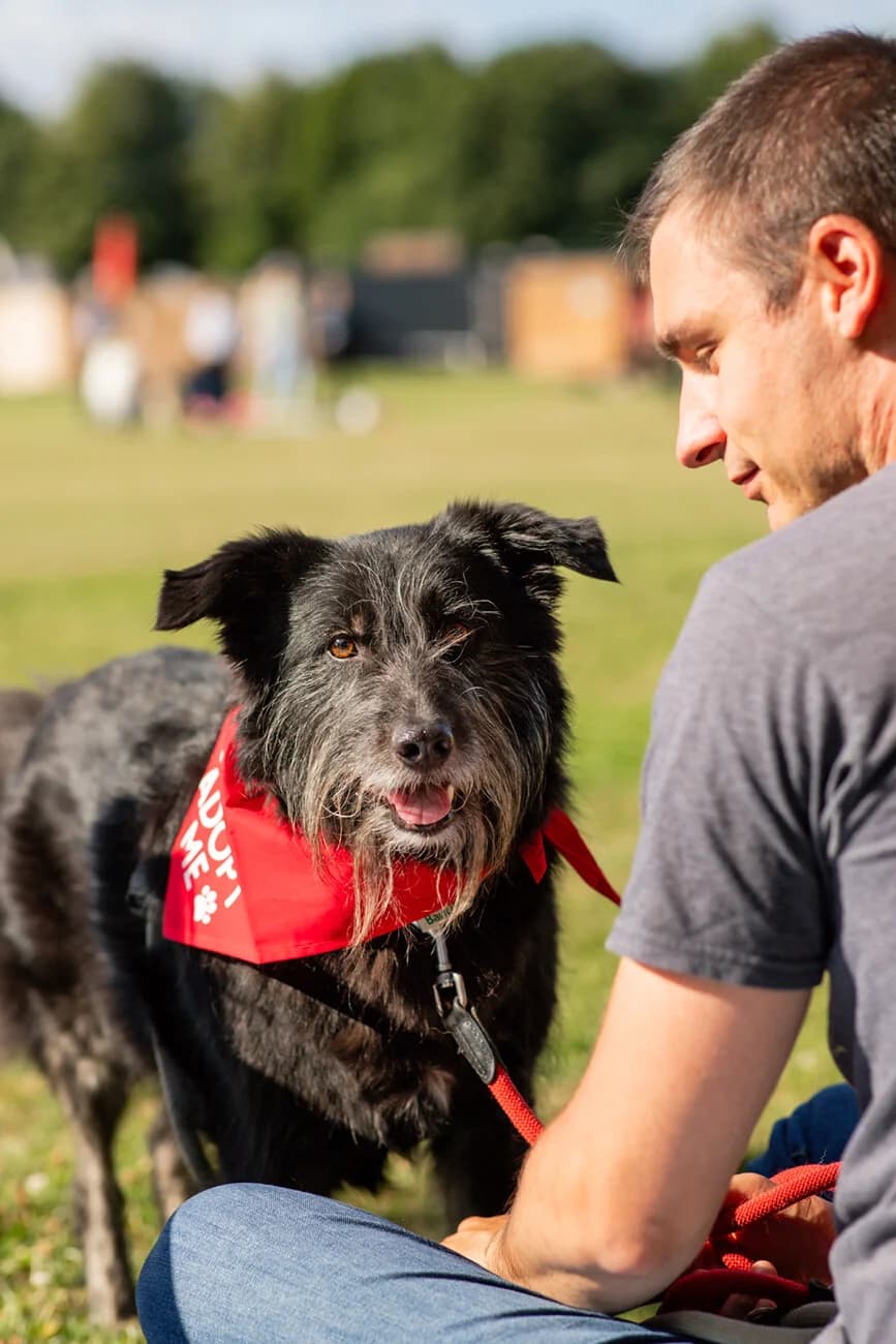 Keks, male 7yo Mixed Breed for adoption at Vierbeiner in Not e.V.