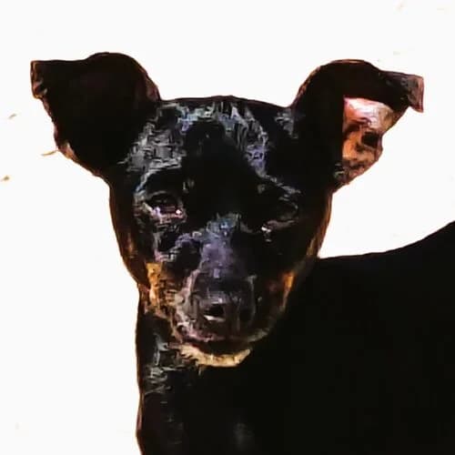 Katrin,  (Viva la Hund)