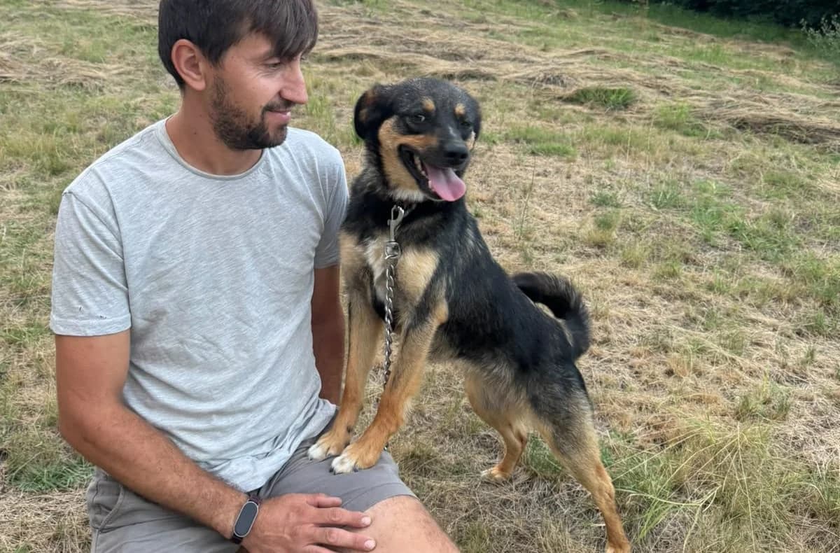 Merle, schwarz/braun female 4yo Mixed Breed for adoption at Waisenhunde e.V., Wöllstadt