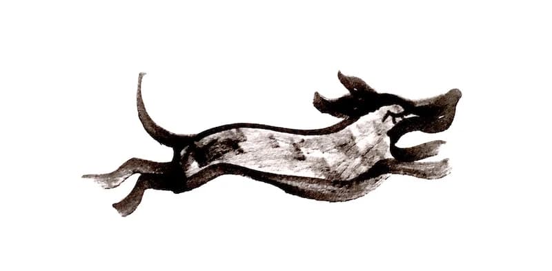 Die magische Leberwurst,  Mixed Breed for adoption at Wir retten Hunde e.V.