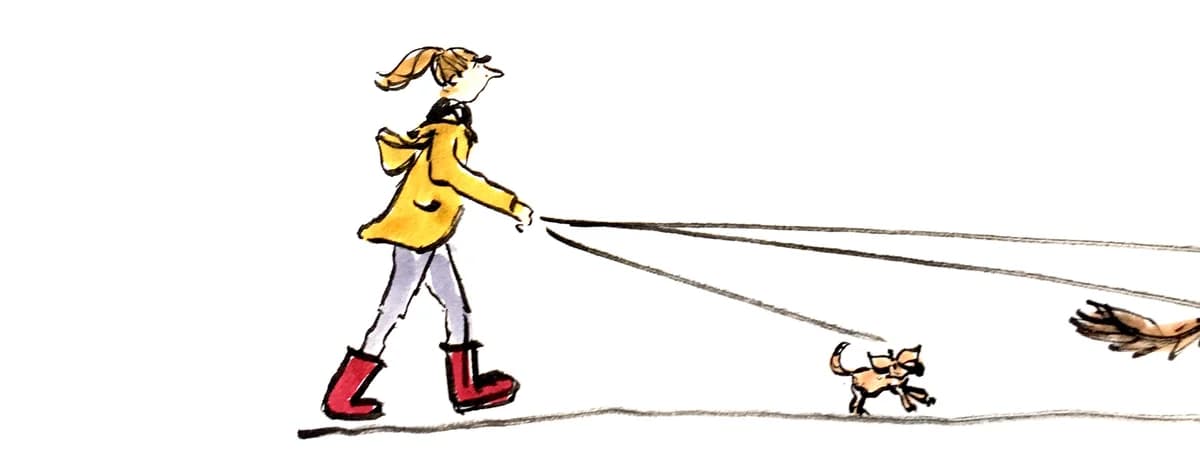 Anschnallen bitte! Das Sicherheitsgeschirr,  Mixed Breed for adoption at Wir retten Hunde e.V.