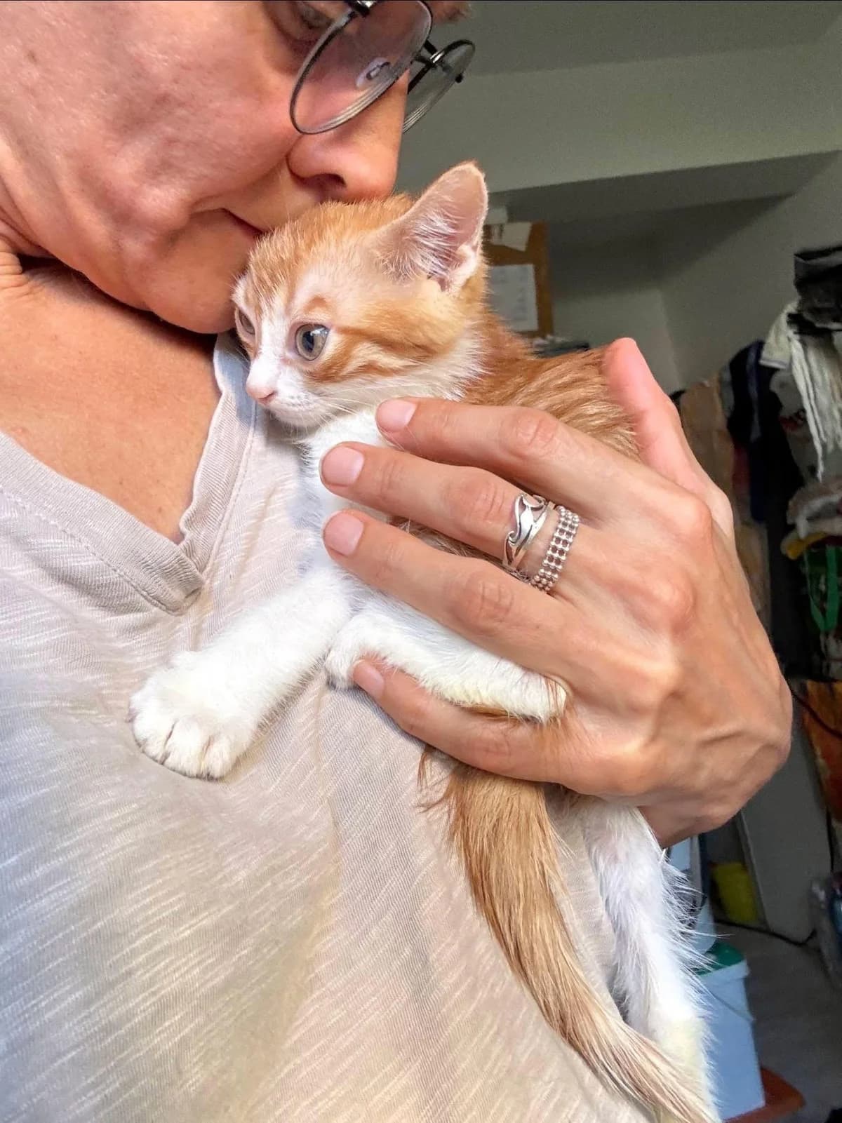 Soleo 🐾 der heimliche Fahrgast, male mixed breed for adoption at Heroes for Cyprus Cats / Zypernkatzen — photo 3 of 10