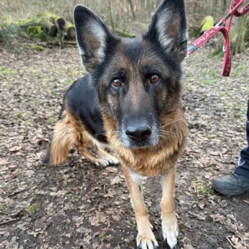 Hanni (reserviert) photo 4