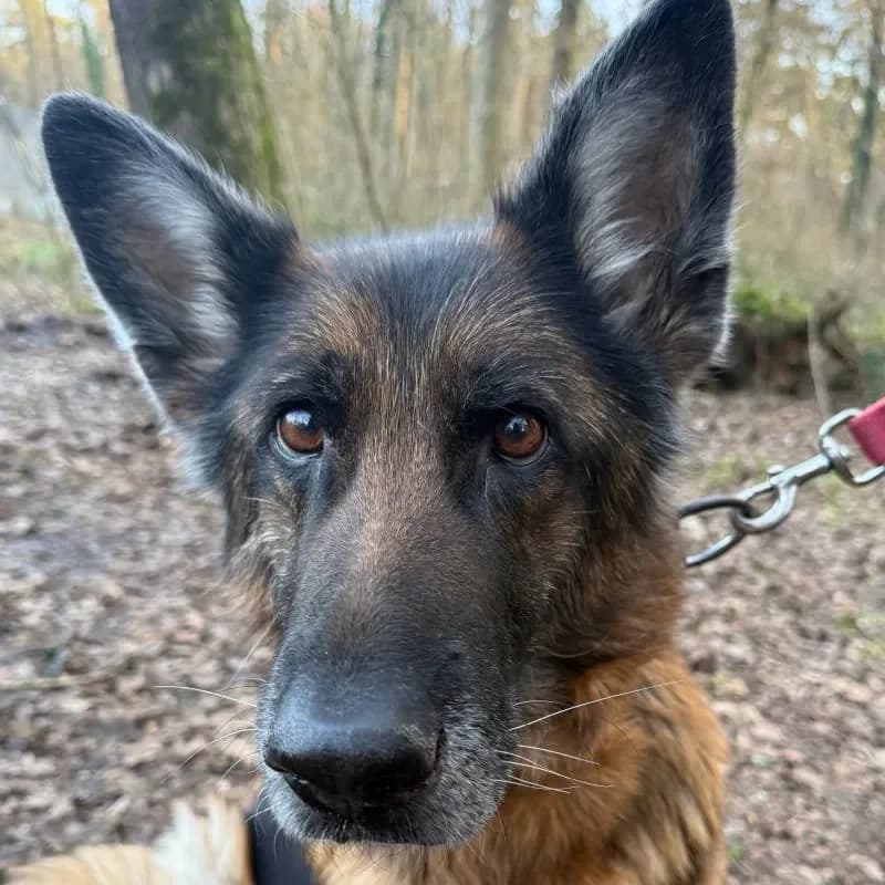 Hanni (reserviert) photo 5