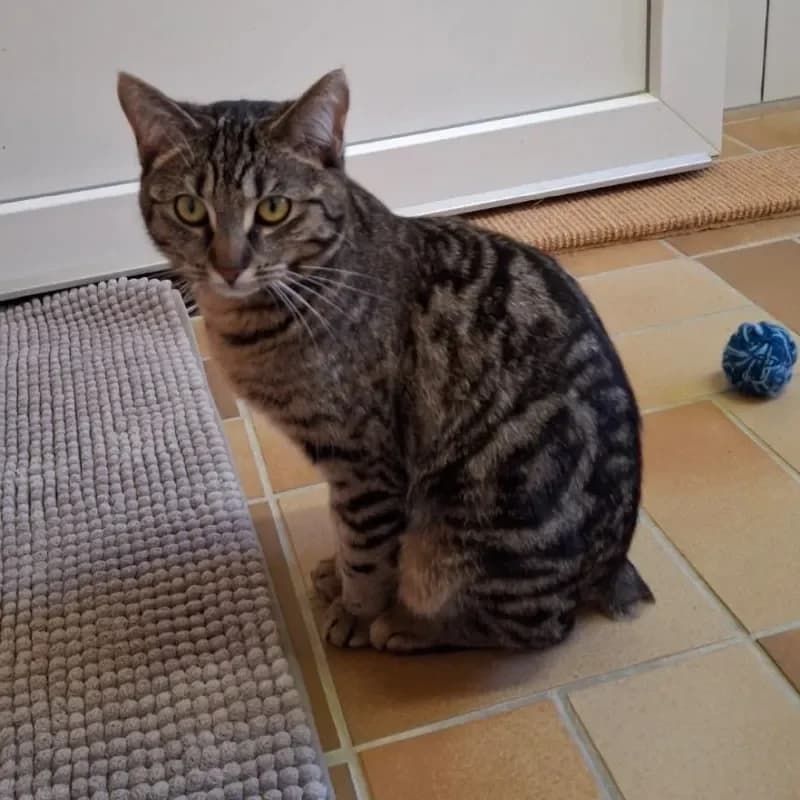 Lydia (reserviert) photo 3