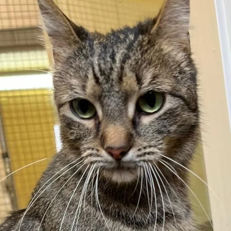 Mimi und Mia (reserviert) photo 2