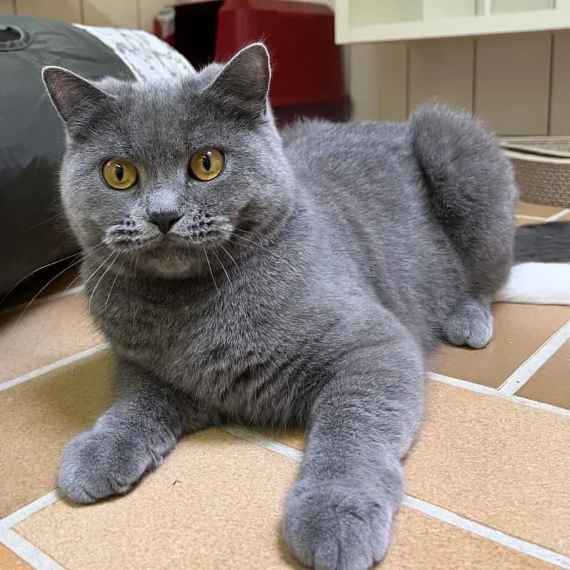 Nyra und Rajak photo 3