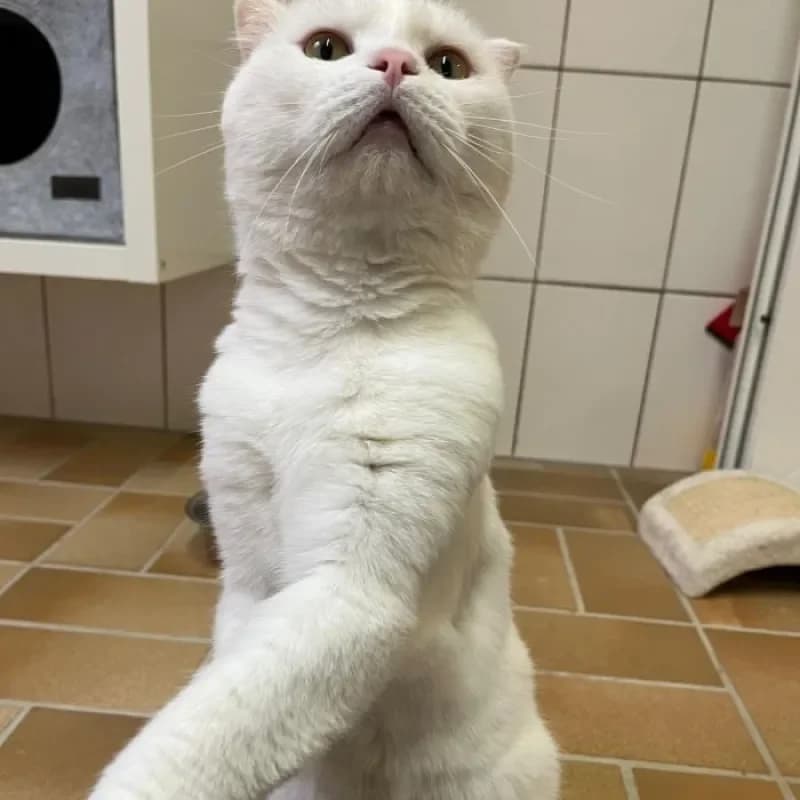 Nyra und Rajak photo 4