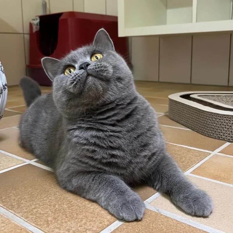 Nyra und Rajak photo 5