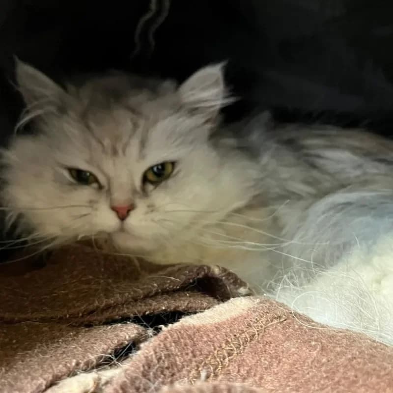 Sophie (in Behandlung) photo 4