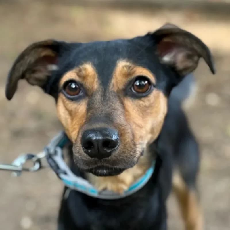 Tami (reserviert) photo 2