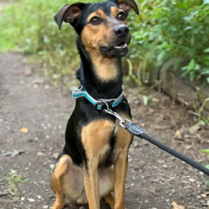 Tami (reserviert) photo 3