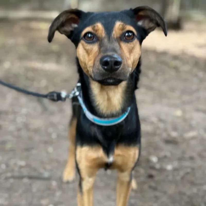 Tami (reserviert) photo 4