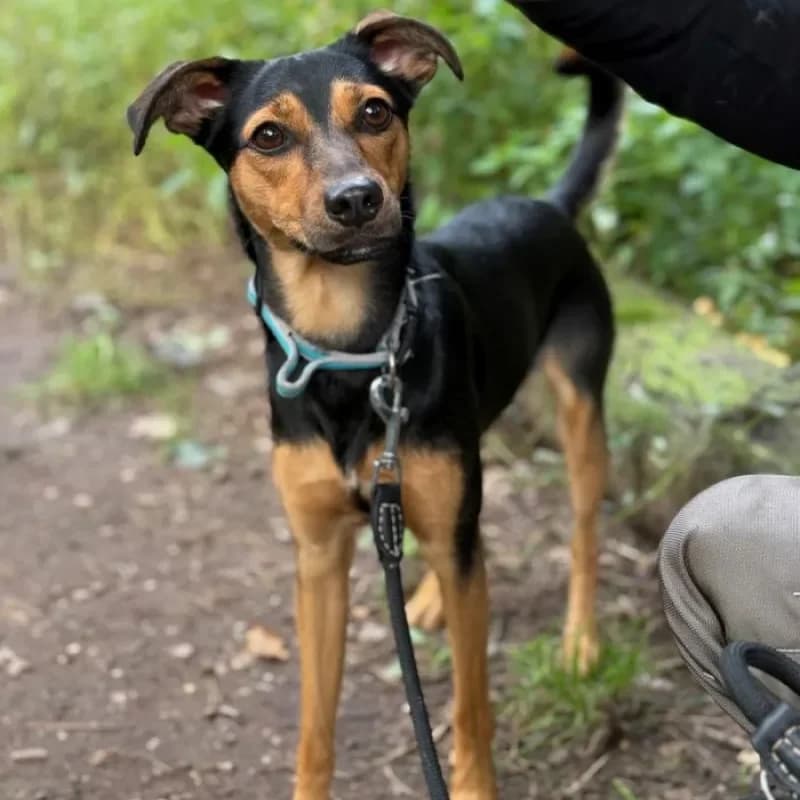 Tami (reserviert) photo 5