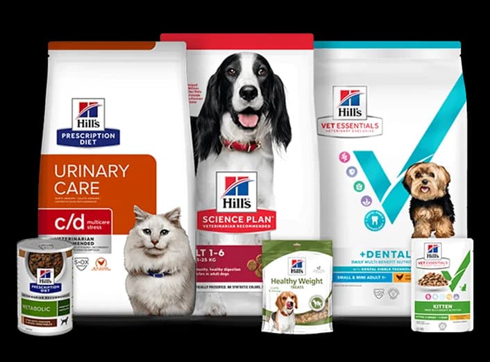 Fodring af hvalpe og killinger,  Mixed Breed for adoption at Dyreværnet — photo 2 of 17