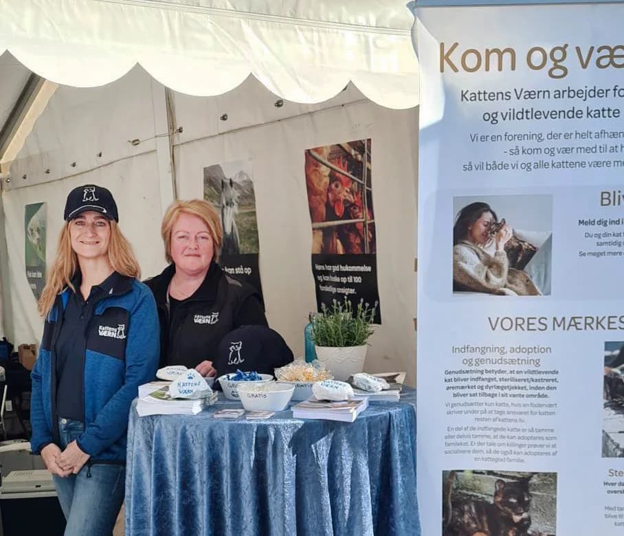 Naturmødet – dyrevelfærd og naturdebat, female Mixed Breed for adoption at Kattens Vaern, Kattens Vaern