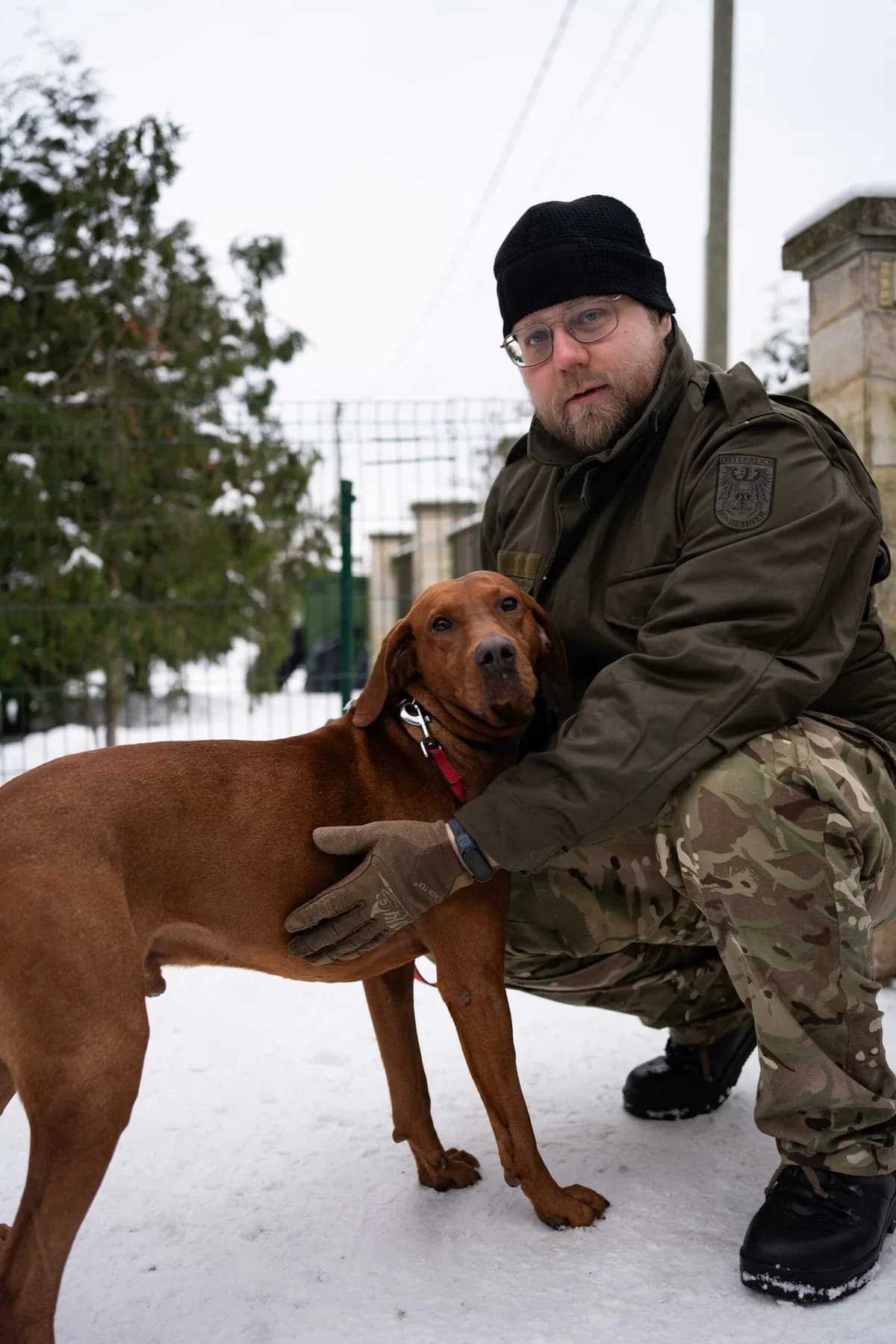 Grand,  Mixed Breed for adoption at HappyDogFamily