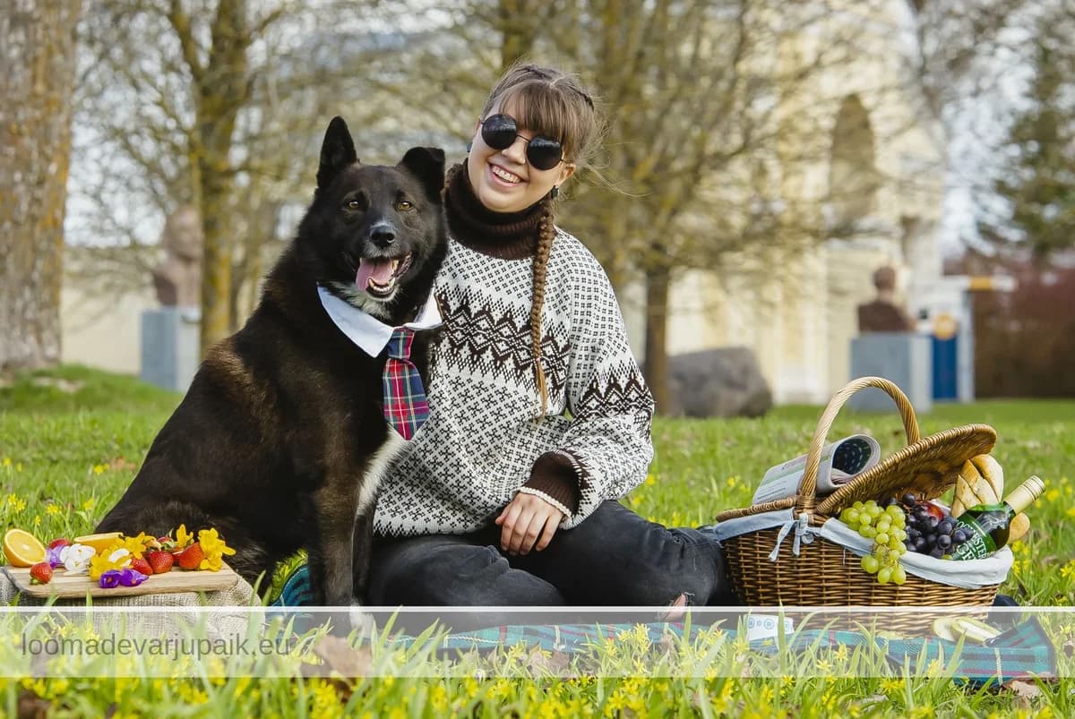 PENNU, male mixed breed for adoption at Tartu Koduta Loomade Varjupaik, Tartu Varjupaik photo 7