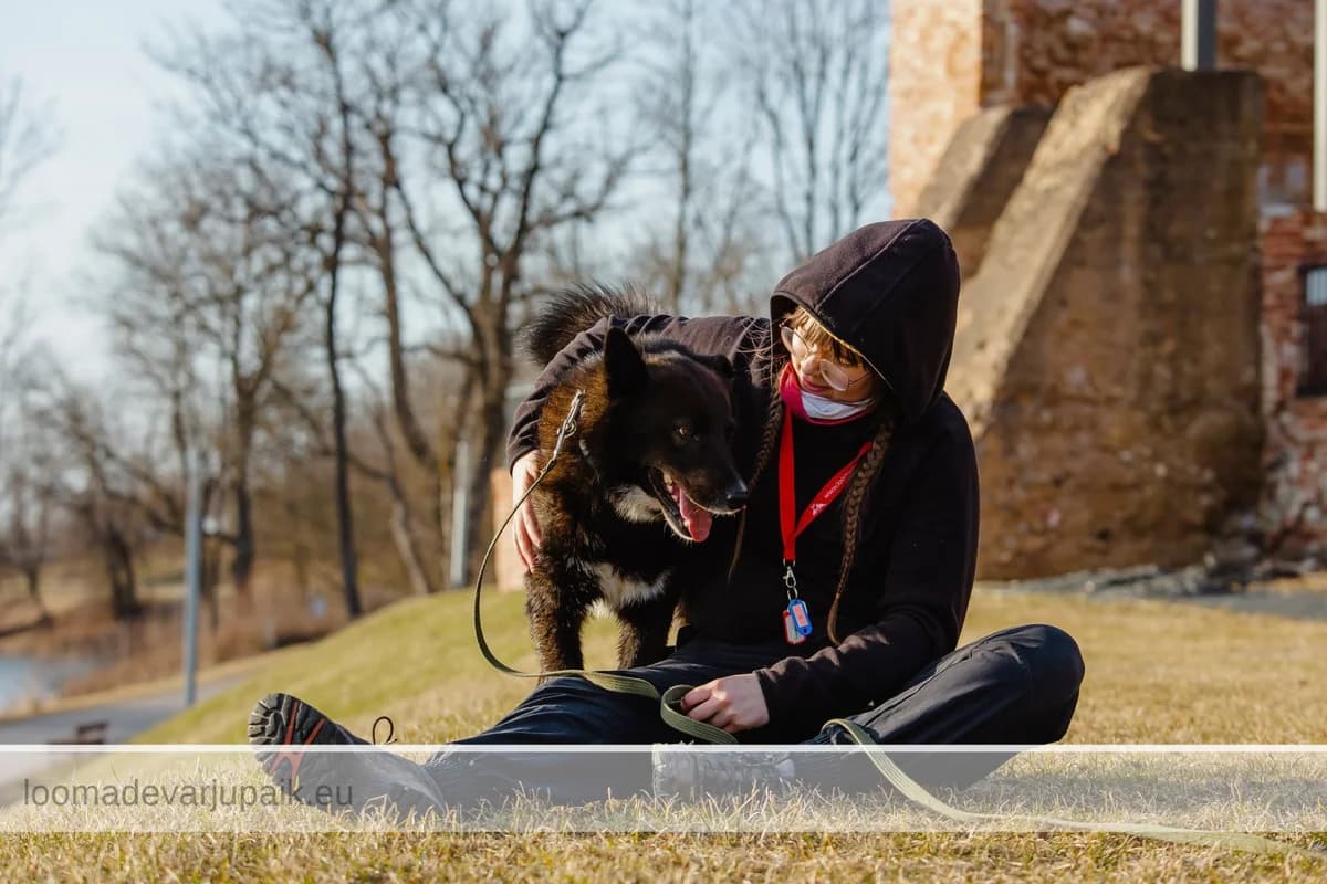 PENNU, male mixed breed for adoption at Tartu Koduta Loomade Varjupaik, Tartu Varjupaik photo 8