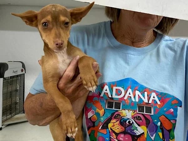 Prescot, Podenco (ADANA Costa del Sol)