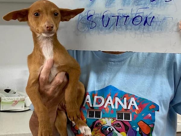 Sutton, Podenco (ADANA Costa del Sol)