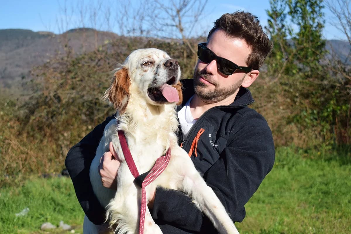 TORRE, male Mixed Breed for adoption at Adopta en los Abedules