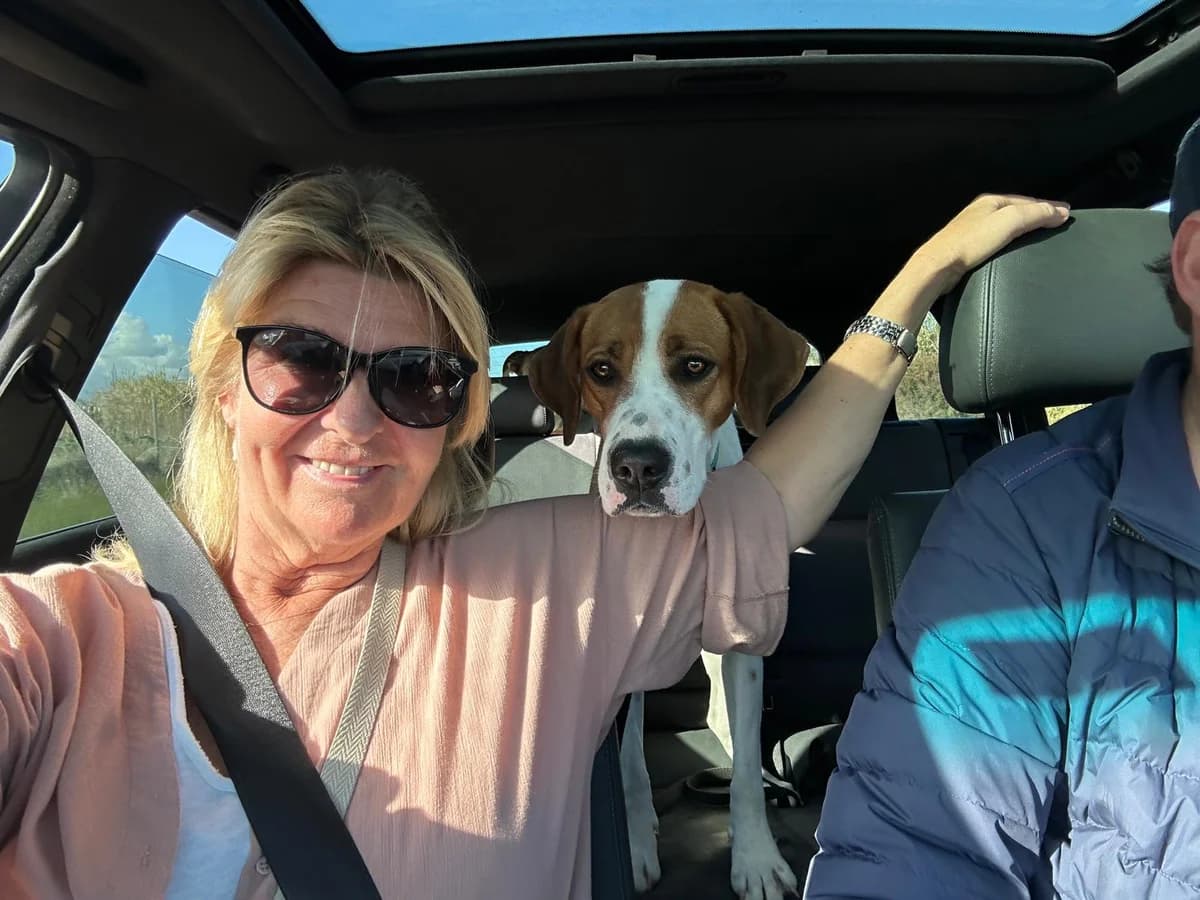 Bubble, female mixed breed for adoption at Akira Dog Shelter — photo 6 of 8