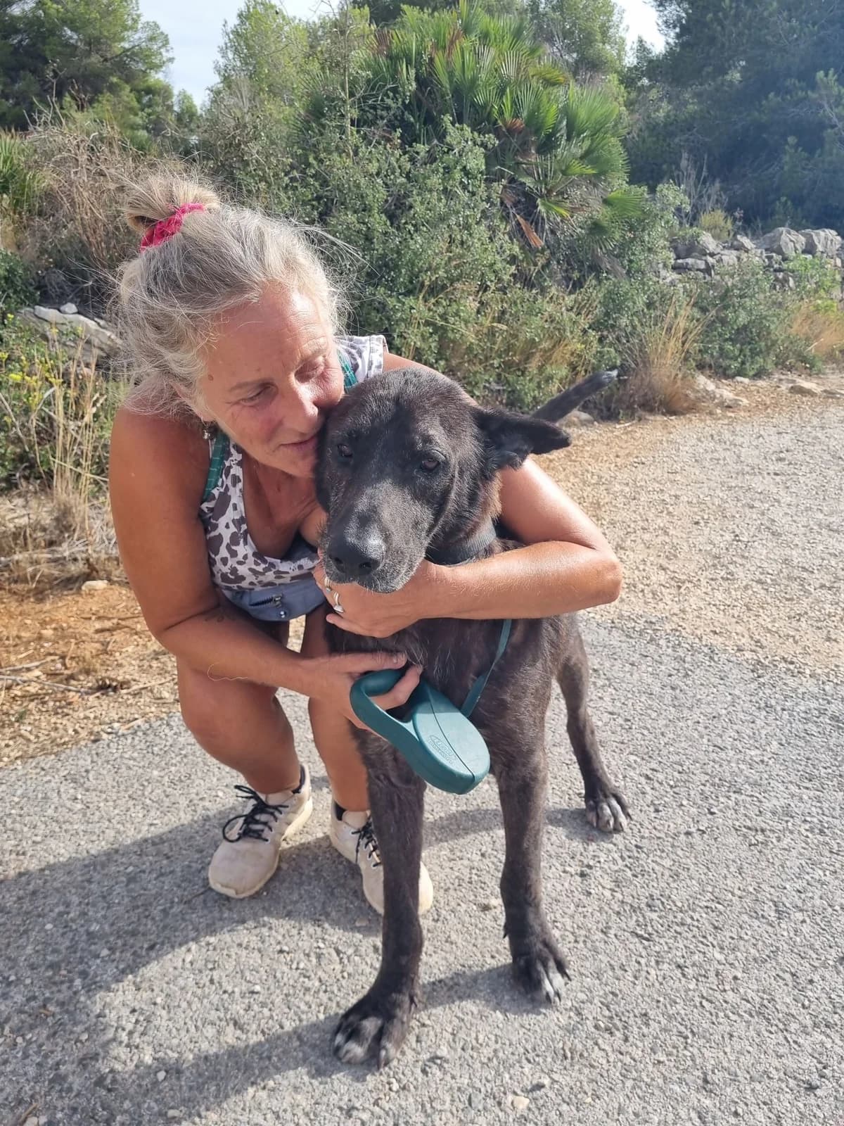 Duke, male mixed breed for adoption at Akira Dog Shelter — photo 4 of 10