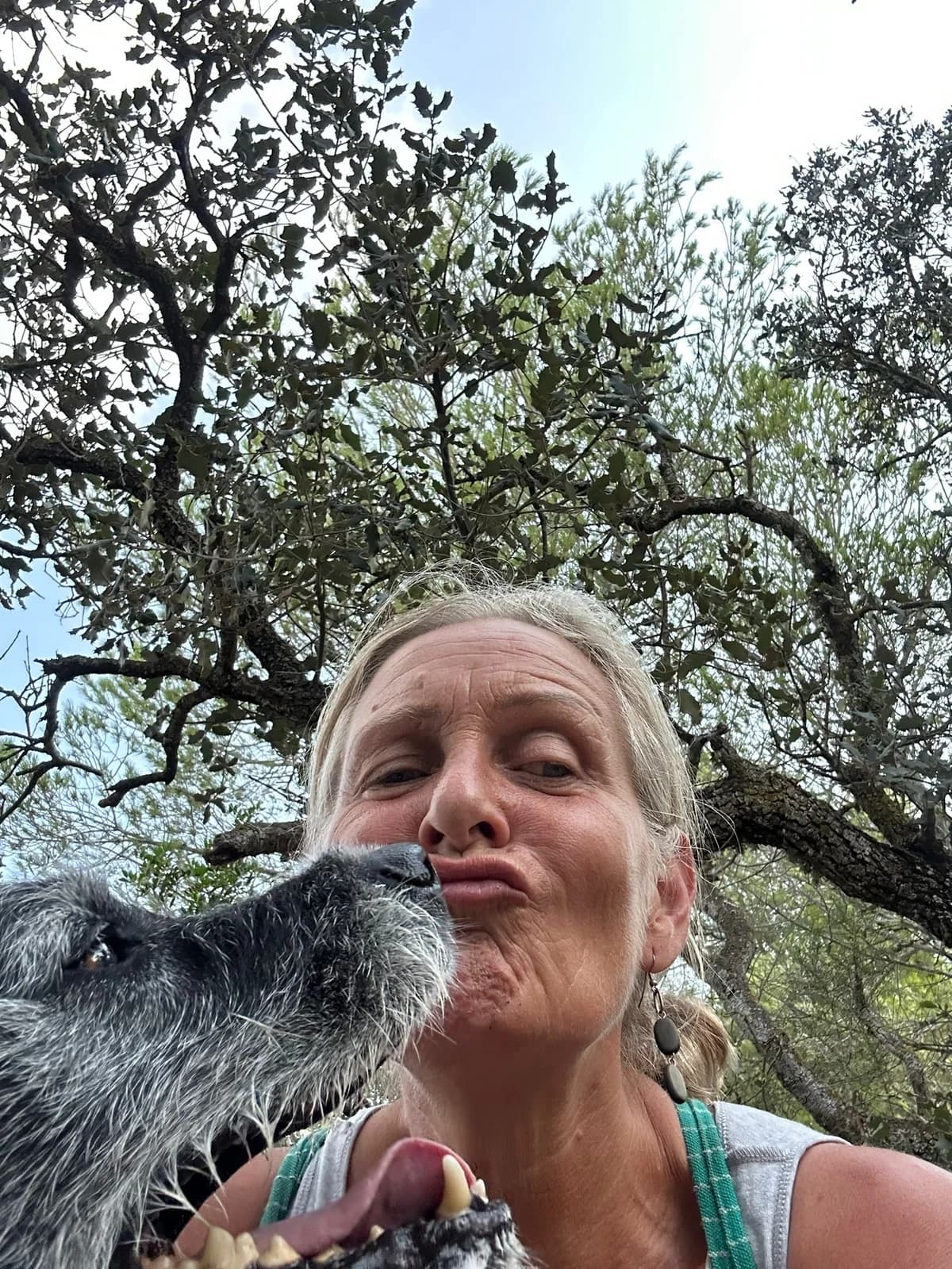 Yogi, male mixed breed for adoption at Akira Dog Shelter — photo 8 of 14