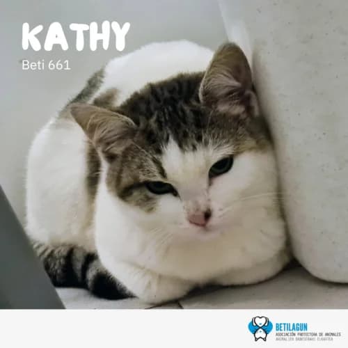 Kathy –, Mixed Breed (Betilagun)