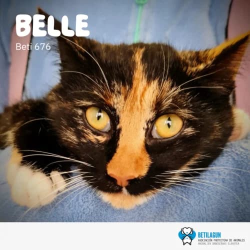 Belle – en preadopción, Mixed Breed (Betilagun)