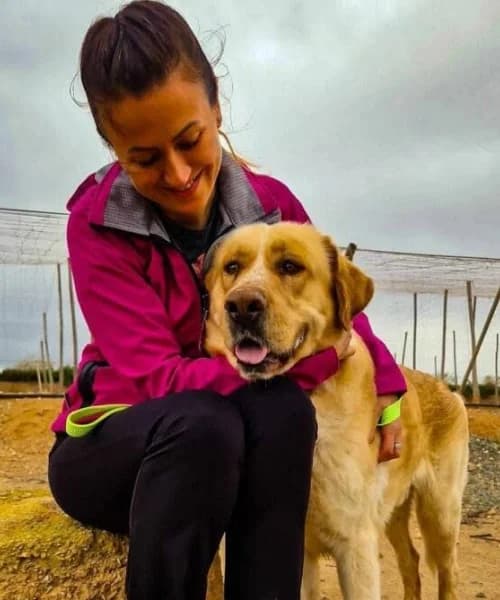 Robert, male 5yo Mixed Breed for adoption at Caminando Con Ellos Anguimar, Murcia
