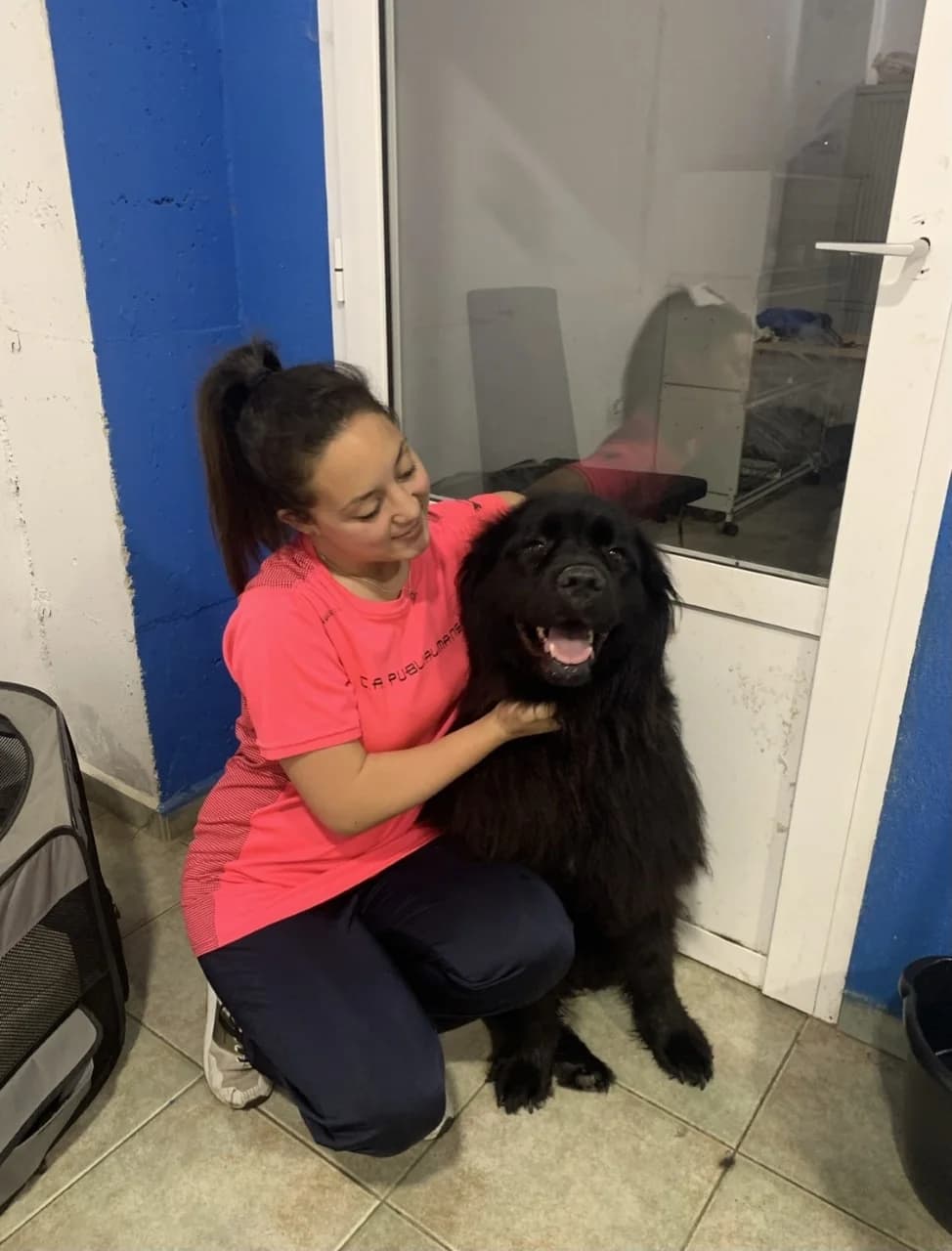 DEBORA,  3yo Mixed Breed for adoption at El Refugio de Lluna