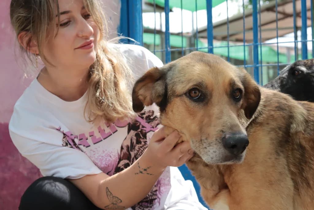 Pompa, female 6yo Mixed Breed for adoption at El Arca de Noé Albacete