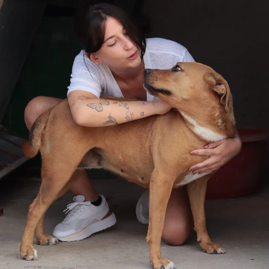 Betty, female 4yo Mixed Breed for adoption at El Arca de Noé Albacete