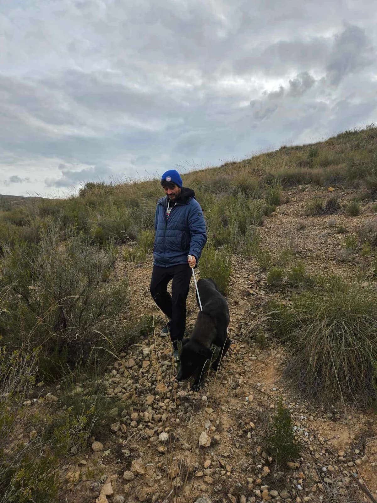 ESTRELLA, female Mixed Breed for adoption at Murcia), Lips Rescue photo 7