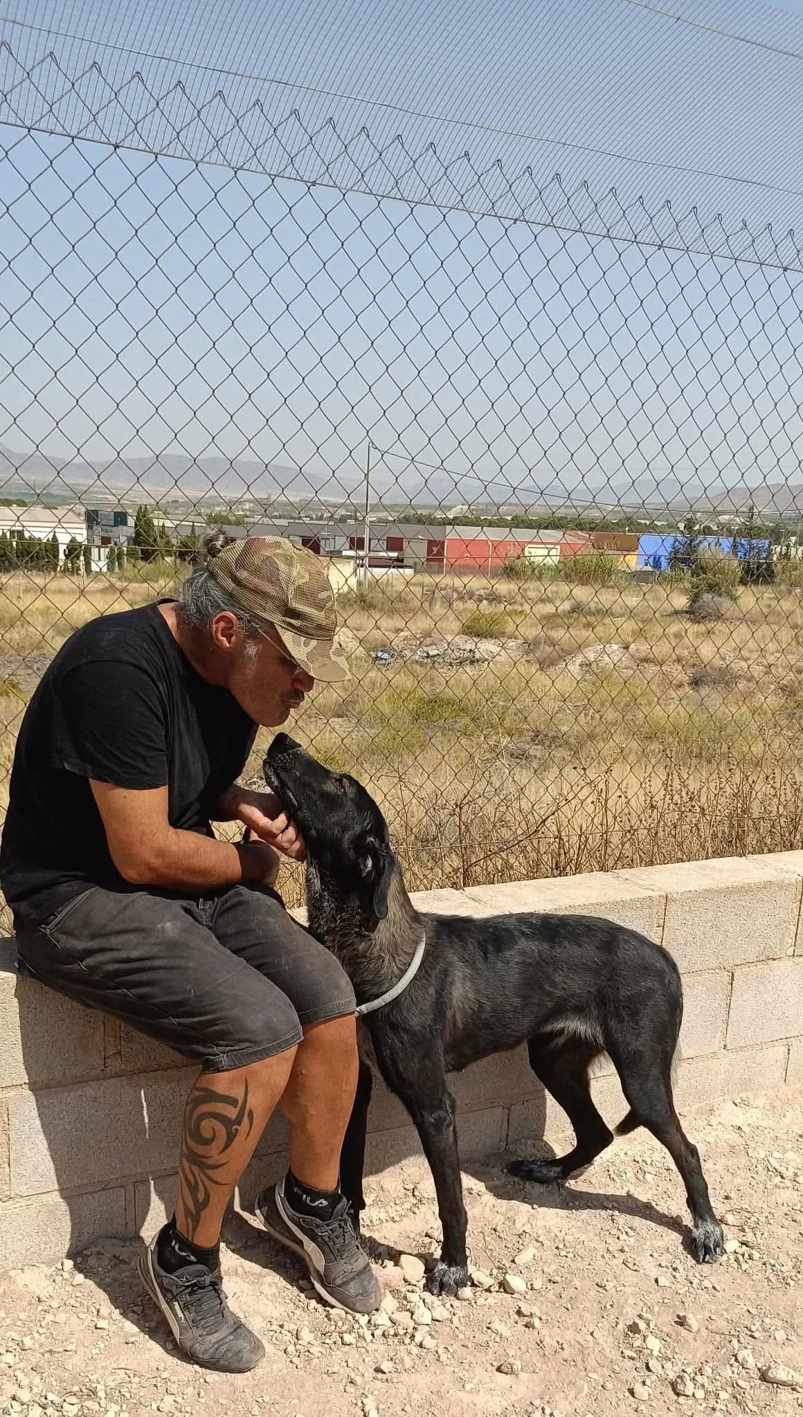 ESTRELLA, female Mixed Breed for adoption at Murcia), Lips Rescue photo 8