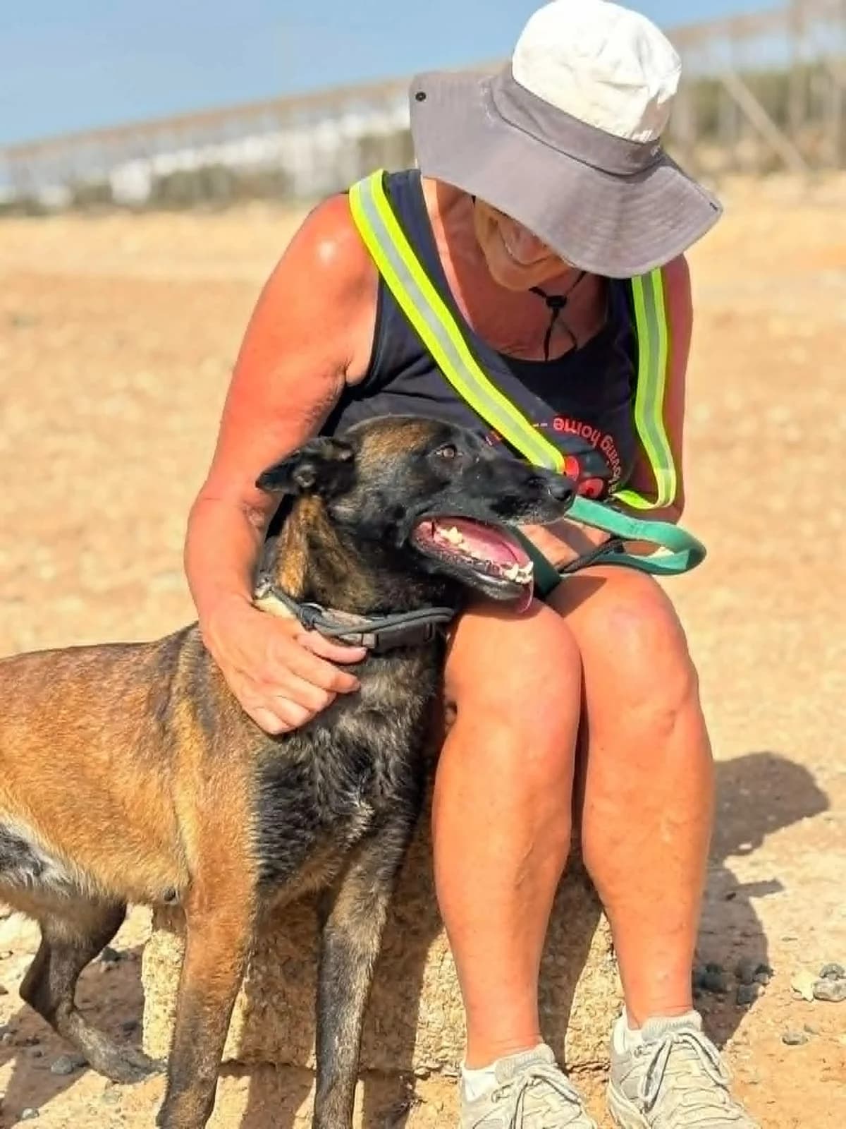 LORETTA, female Mixed Breed for adoption at Murcia), Lips Rescue
