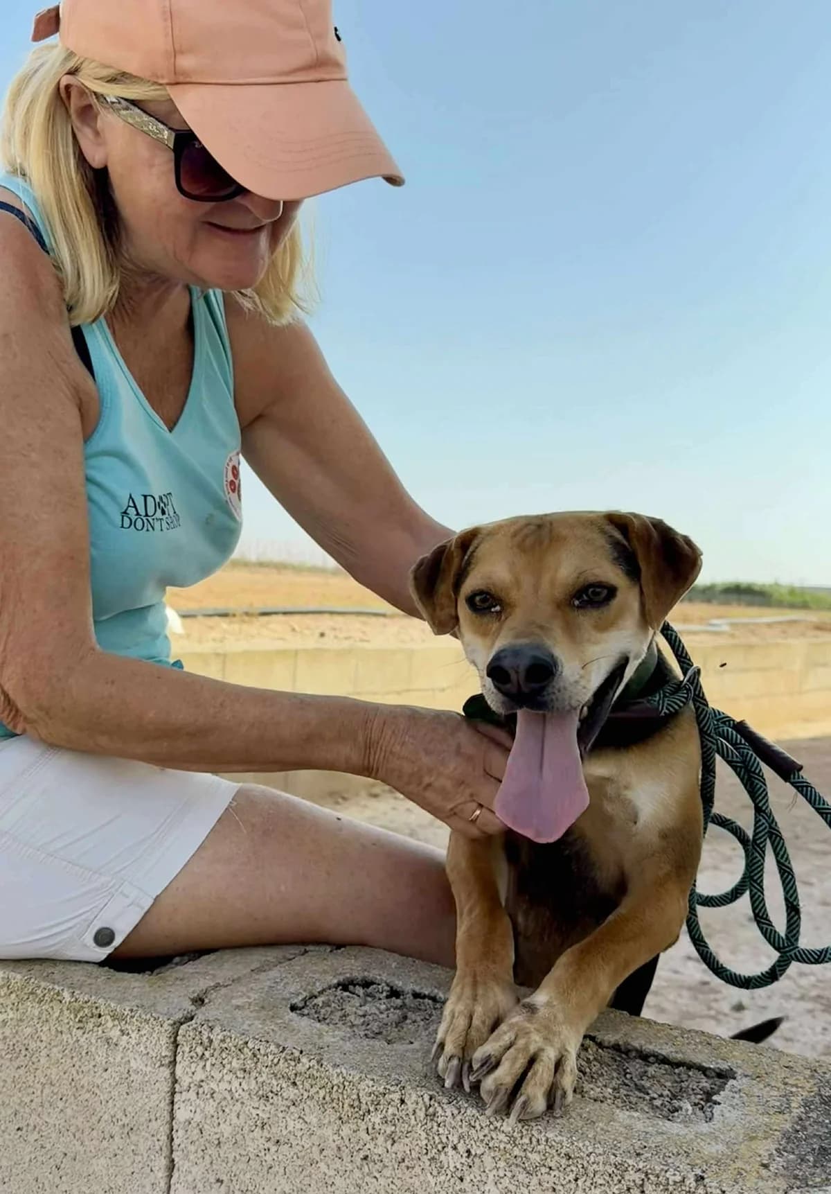 MANU, male Mixed Breed for adoption at Lips Rescue