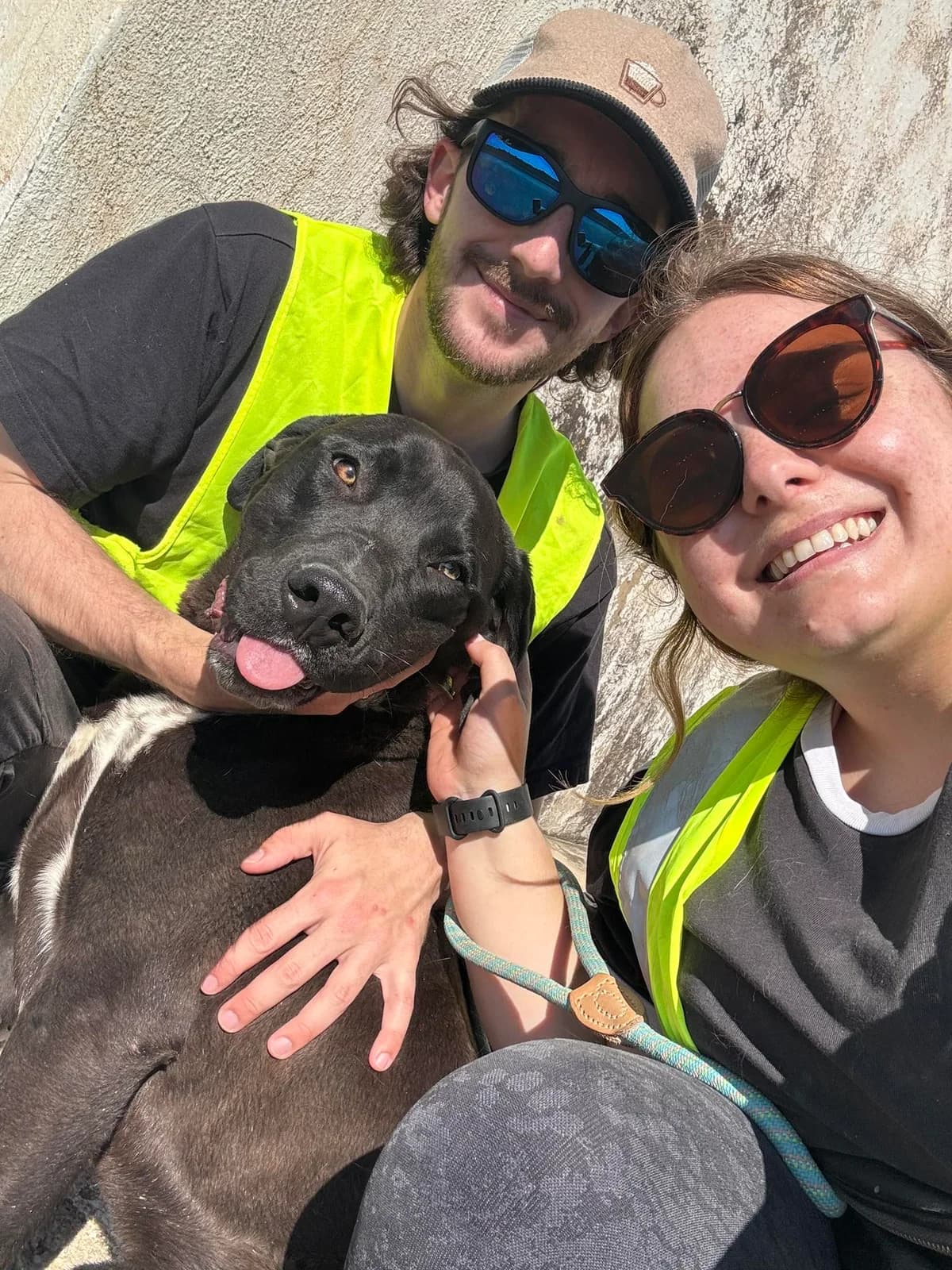 MAXWELL, male Mixed Breed for adoption at Murcia), Lips Rescue photo 8