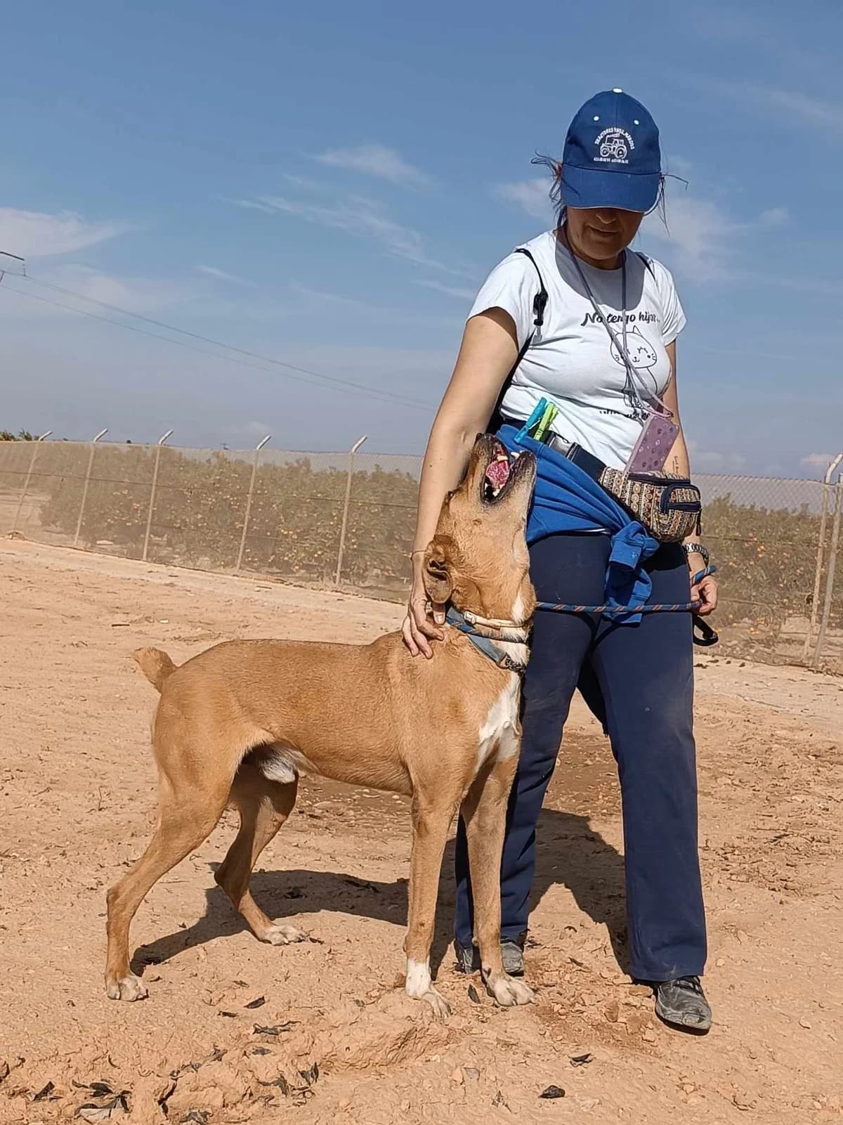 OTTO, male Mixed Breed for adoption at Murcia), Lips Rescue photo 6