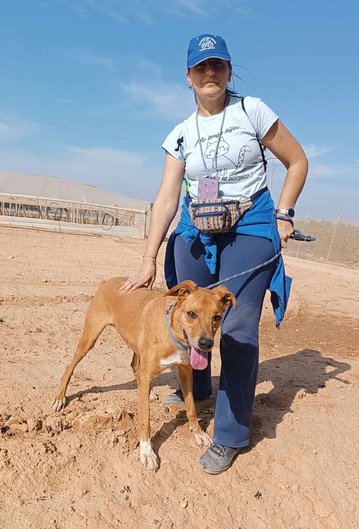 OTTO, male Mixed Breed for adoption at Murcia), Lips Rescue photo 7