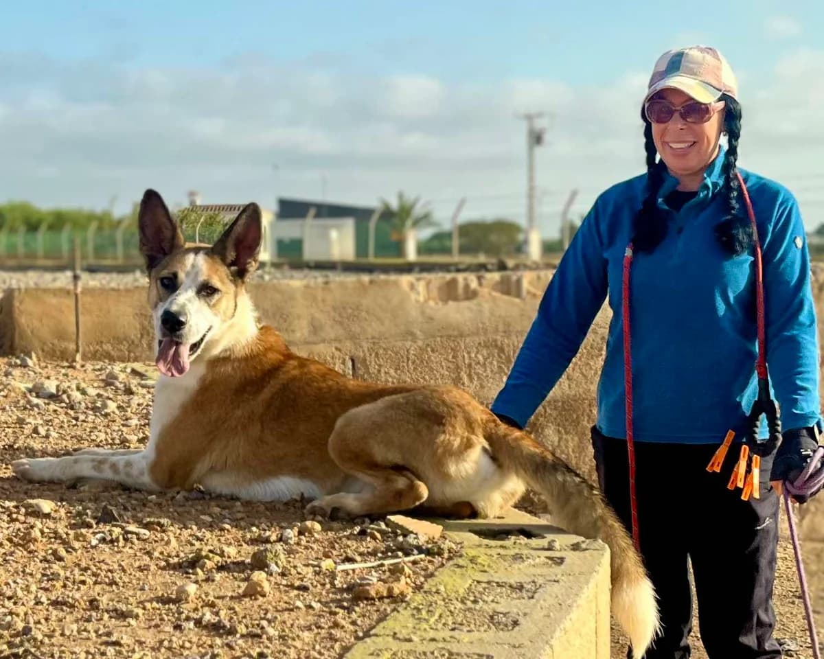 ROCKO, male Mixed Breed for adoption at Murcia), Lips Rescue photo 8