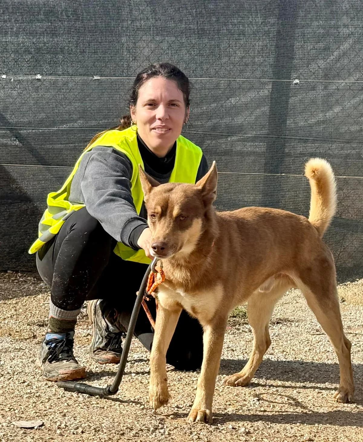 SEBAS, male Mixed Breed for adoption at Murcia), Lips Rescue photo 3
