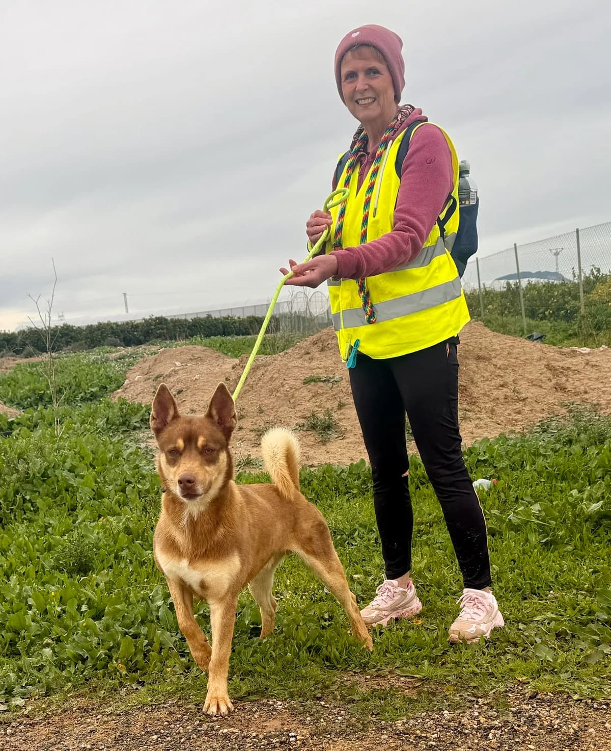 SEBAS, male Mixed Breed for adoption at Murcia), Lips Rescue photo 8