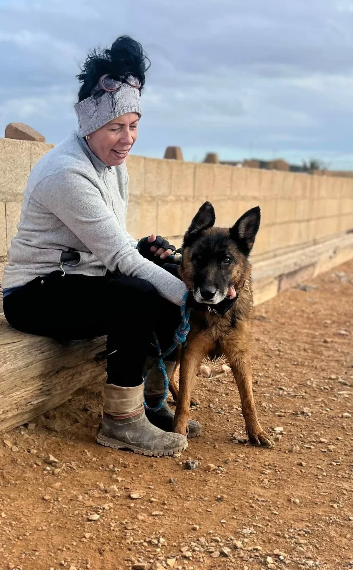 SIA **RESERVED** 28/3/26 (ASENA), female Mixed Breed for adoption at Murcia), Lips Rescue photo 2